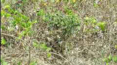 20131124 Organic Farm02